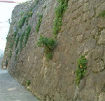 Lato 1