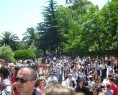 manipuglia processione 5